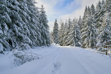 Mountain road during winter