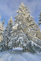 Mountain road during winter
