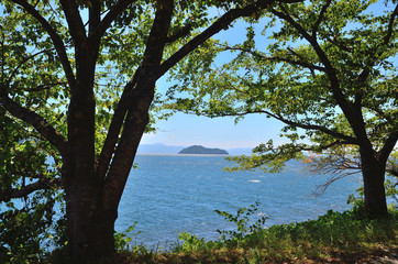 Obraz premium 滋賀 琵琶湖