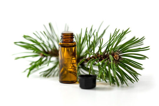 Pine Essential Oil Bottle And Tree Branch Isolated On White Background