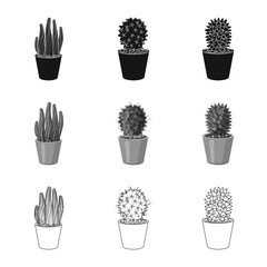 Vector design of cactus and pot sign. Collection of cactus and cacti stock symbol for web.