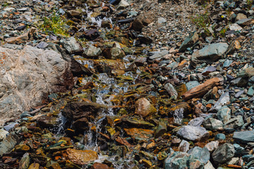 Spring water on rocky slope with stones and boulders. Small waterfall from rock close-up. Stony mountainside with green plants. Rich flora of highlands. Natural background with mountain stream.