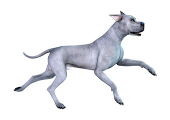 3D Rendering Blue Grat Dane Dog on White