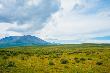 Spectacular view of giant mountains under cloudy sky. Huge mountain range at overcast weather. Wonderful wild scenery. Atmospheric landscape of highland nature. Dramatic mountainscape. Scenic flora.