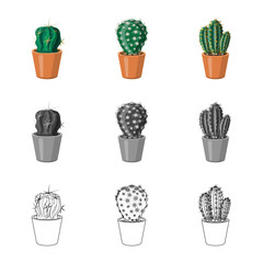 Vector design of cactus and pot icon. Collection of cactus and cacti stock symbol for web.