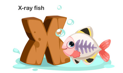 X for X-ray fish