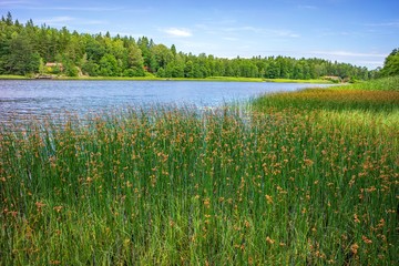 Fototapeta na wymiar Schweden Glafsfjorden