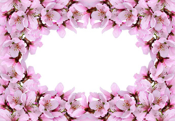 Fototapeta na wymiar Floral frame wuth spring twigs of peach flowers