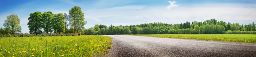 Fototapeta na wymiar Road panorama on sunny spring day