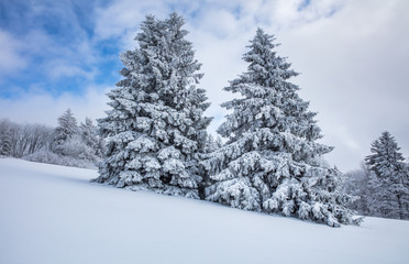 Obraz premium schnee