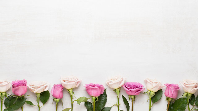 Fototapeta Flowers valentine day composition. Frame made of pink rose on gray background. Flat lay, top view, copy space.