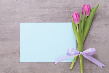 Spring greeting card, pink color tulips on the gray background.