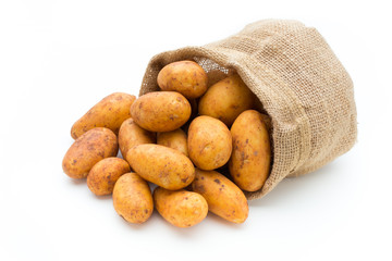 A bio russet potato isolated white background.