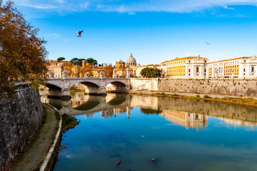 Fototapeta na wymiar Tiber river streams, Ponte Vittorio Emanuele II bridge, flying seagulls and Rome cityscape view with St. Peter dome on the background