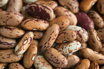 red beans seeds. texture. closeup