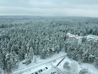 Aerial view of a pine forest in Belarus in winter