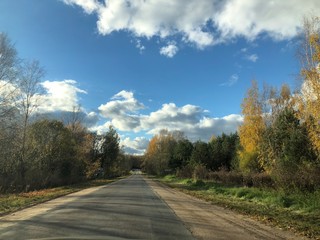 Fototapeta premium road in the forest in Lithuania 