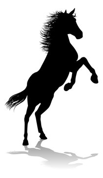 A horse animal detailed silhouette graphic