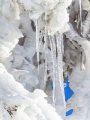 Eiszapfen am Tannenbaum