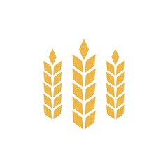 Agriculture icon or logo, golden wheat sign