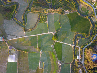 Rice farm and countryside top view