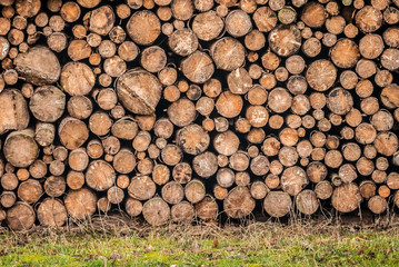 Firewood log pile background picture