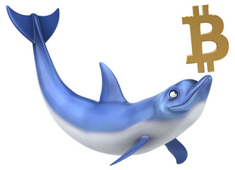 Fun dolphin - 3D Illustration