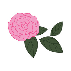 beautiful rose with leafs isolated icon