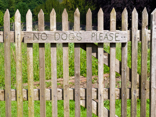 No Dogs Please. Sign on an allotment garden gate.