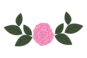 beautiful rose with leafs isolated icon