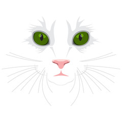 Muzzle of a cat on a white background. Big green eyes, nose and moustaches of an animal cat. Flat design.