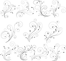 Thin curly floral lines with delicate leaf. Swirl black floral vector colection. Elegant spiral concept.