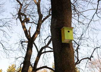 Yellow birdhouse on a tree