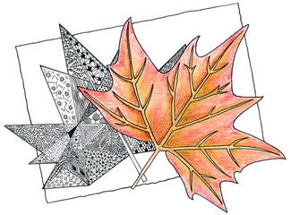 Hand ink pen and color pencil drawing maple autumn leaves in realistic and abstract style in orange tones