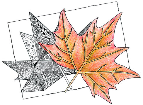 Hand ink pen and color pencil drawing maple autumn leaves in realistic and abstract style in orange tones