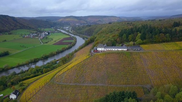 Aerial view of the vineyard estate Saarstein near Serrig, Saar River, Saar Valley near Saarburg, Rhineland-Palatinate, Germany