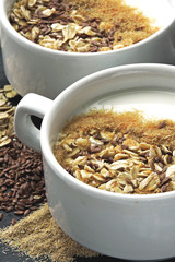 Healthy superfood with yogurt, bran, oatmeal and flax seeds. Fermented dairy products and seeds.