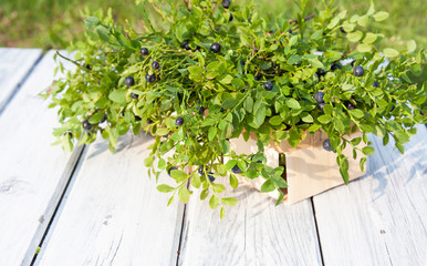 Fresh blueberries in basket on wood in summer