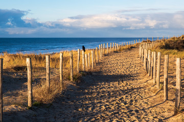 Weg auf den D&uuml;nen bei Egmond aan Zee/NL