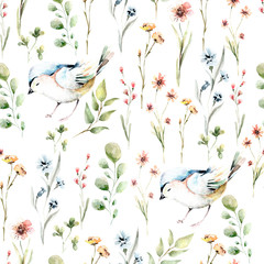  Hand drawing watercolor spring pattern with wildflowers and birds.  illustration isolated on white