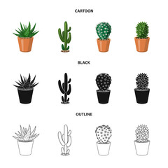 Isolated object of cactus and pot logo. Set of cactus and cacti stock vector illustration.