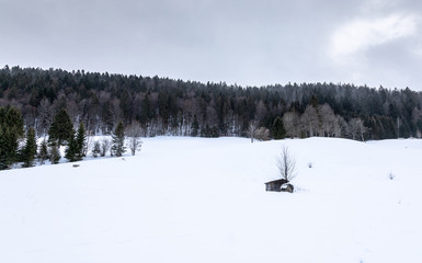 Snow. Landscape. Winter. Sky. Forest. Hills. Cold