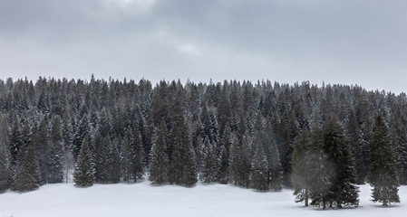 Snow. Sky. Landscape. Winter. Forest. Hills. Cold