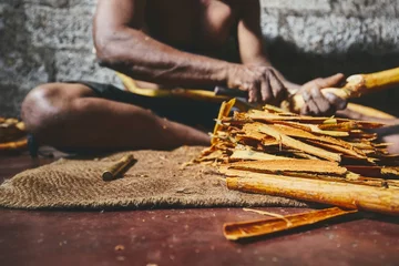 Foto op Aluminium Production of the cinnamon sticks © Chalabala
