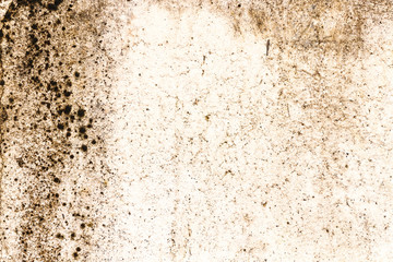 Cement Texture close up