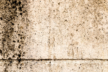 Cement Texture close up