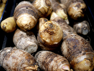 Taro Division