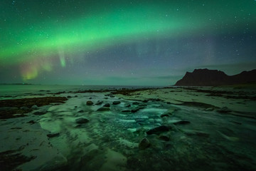Fototapeta na wymiar Lofoten aurora above moutains and sea