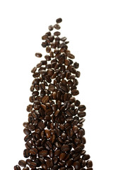 Coffee, Coffee beans