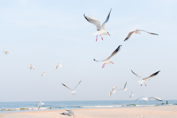 Ostsee